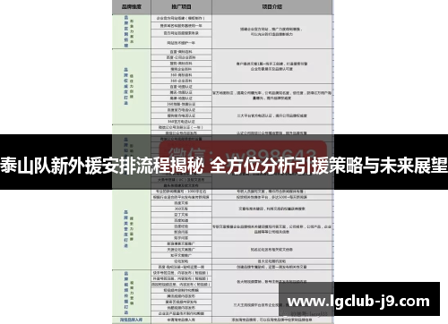 泰山队新外援安排流程揭秘 全方位分析引援策略与未来展望