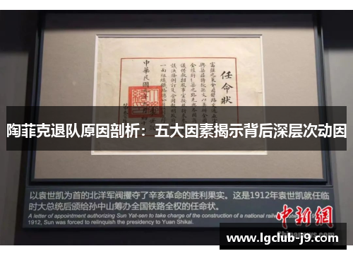 陶菲克退队原因剖析：五大因素揭示背后深层次动因