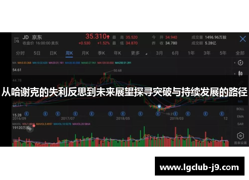 从哈谢克的失利反思到未来展望探寻突破与持续发展的路径