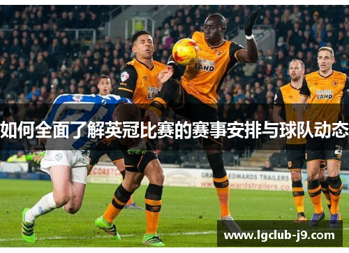如何全面了解英冠比赛的赛事安排与球队动态